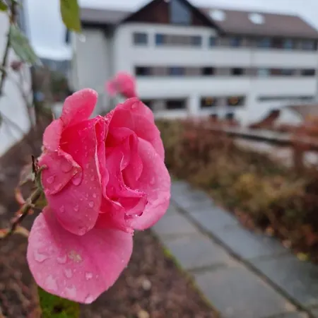 Norsjo 2* Akkerhaugen